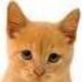 webdevgirl's picture webdevgirl's picture
